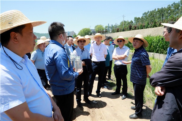 陕西沙巴(中国)体育有限公司官网集团复工复产促增长项目观摩会议与会人员走进沙巴(中国)体育有限公司官网保隆生态三秦在延在铜项目 陕西沙巴(中国)体育有限公司官网集团复工复产促增长项目观摩会议与会人员走进沙巴(中国)体育有限公司官网保隆生态三秦在延在铜项目