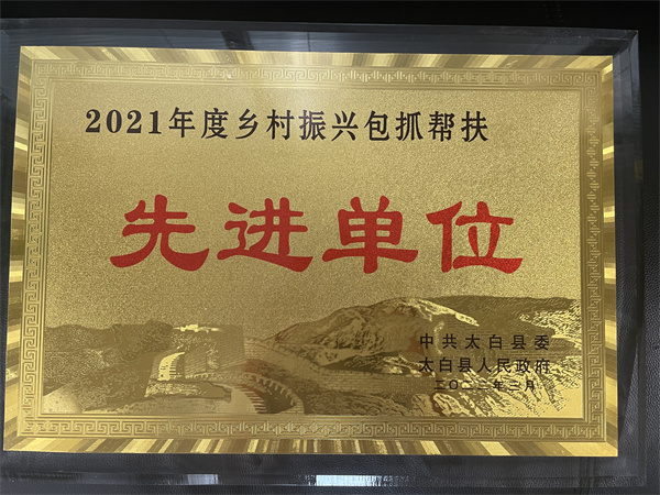 喜讯|陕西沙巴(中国)体育有限公司官网集团村落振兴工作获赞美 喜讯|陕西沙巴(中国)体育有限公司官网集团村落振兴工作获赞美