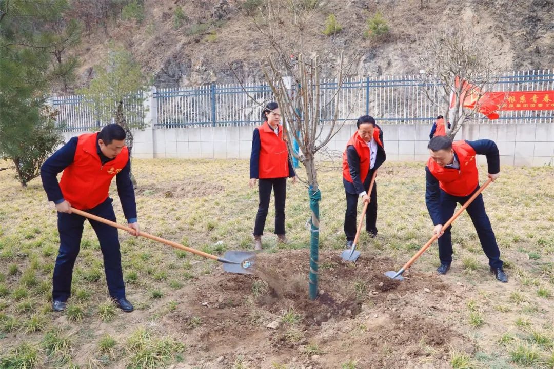 根系青春·植此青绿|陕西沙巴(中国)体育有限公司官网集团团委发展使命植树自愿活动 根系青春·植此青绿|陕西沙巴(中国)体育有限公司官网集团团委发展使命植树自愿活动